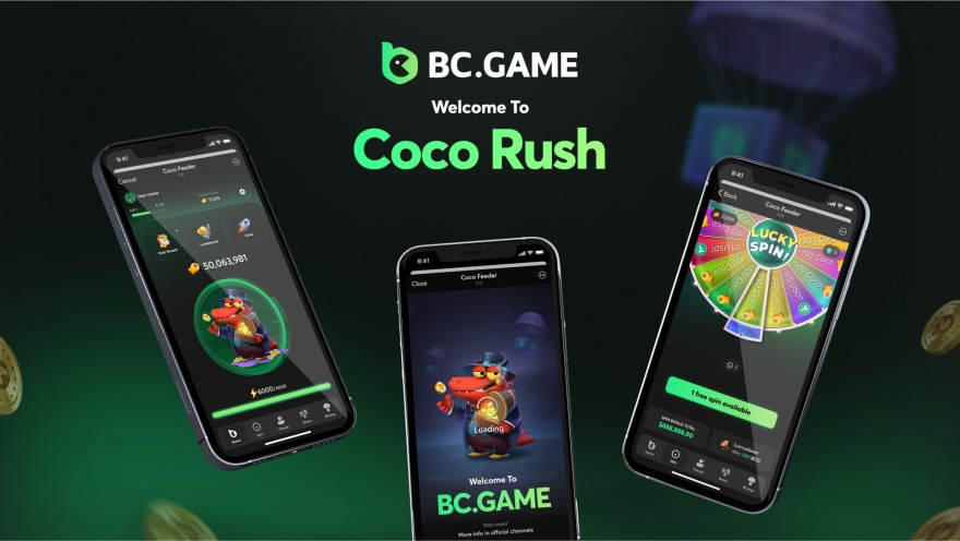 Explore the Thrills of BC Casino