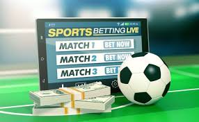 Explore Baji Online Cricket Betting Live The New Era of Sports Betting