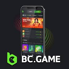Exploring Payment Methods at BC Game -2098482730