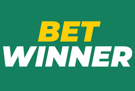 Exploring the BetWinner Gambling Platform A Comprehensive Review