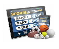 Understanding the Excitement of Jeu Crash on 1xBet