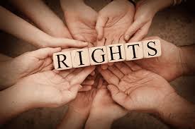 Understanding the Role of Human Rights Attorneys 1362713395