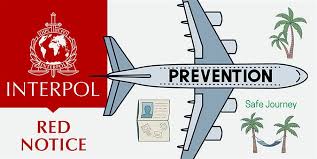 Understanding the Role of Interpol Defense Lawyers 1346107004