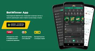 Exploring the Thrilling World of BetWinner Casino