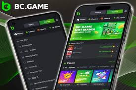 Online Casino BC.Game The Ultimate Gaming Experience in Pakistan