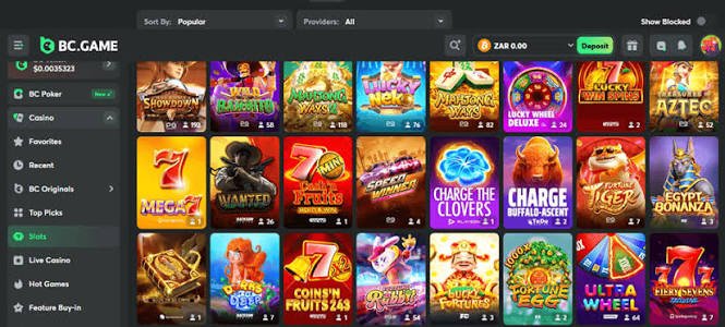 Exploring the BC.Game Platform A New Era for Online Gaming in France